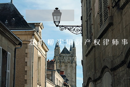 北京柳沈知识产权律师事务所
