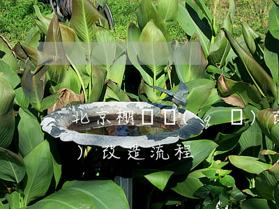 北京棚戶區(qū)改造(北京棚戶區(qū)改造流程)