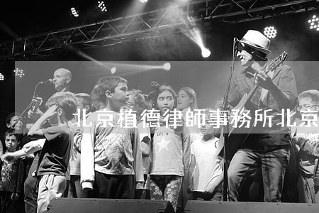 北京植德律師事務所(北京植德律師事務所 概況)