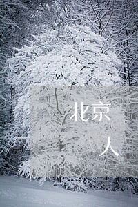 北京標間可以住三個人違法嗎(酒店標間住四個人違法)