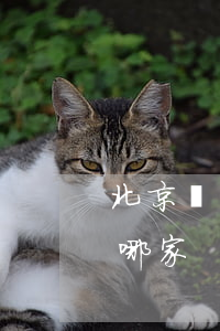 北京權(quán)威律師事務(wù)所哪家
