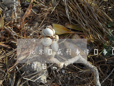 北京權威刑事律師事務所(北京權威刑事案件律師)