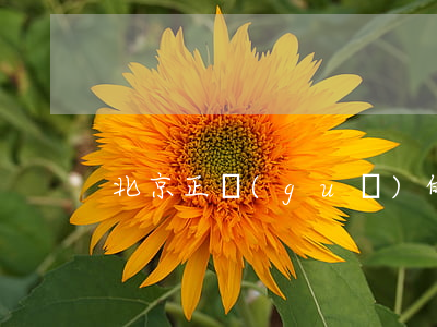 北京正規(guī)的個人逾期律師排名