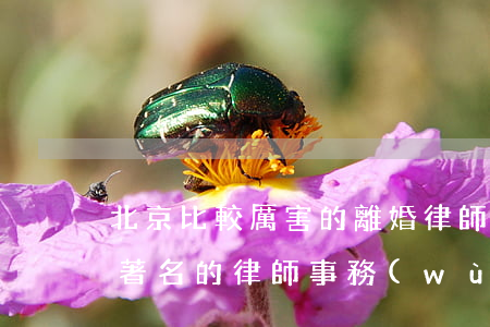北京比較厲害的離婚律師推薦(北京離婚案件著名的律師事務(wù)所)