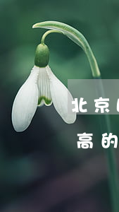 北京比較有名氣的律師事務所(北京知名度最高的律師事務所)