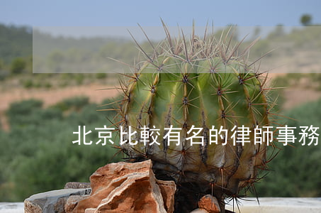 北京比較有名的律師事務(wù)所前十名