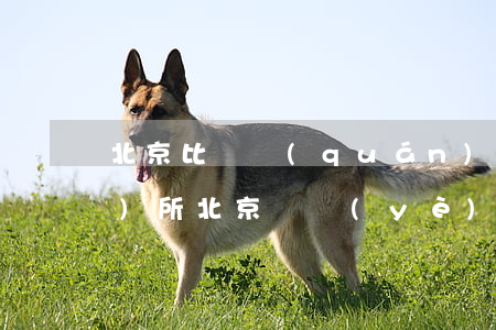 北京比較權(quán)威律師事務(wù)所(北京專業(yè)的律師事務(wù)所)