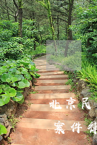 北京民事糾紛律師費(fèi)用(北京刑事案件律師費(fèi)多少錢)