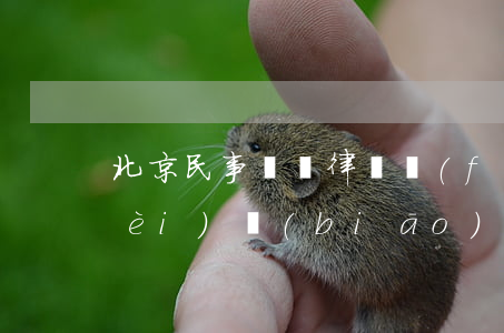 北京民事糾紛律師費(fèi)的收費(fèi)標(biāo)準(zhǔn)(北京市民事訴訟律師費(fèi)用收取標(biāo)準(zhǔn))