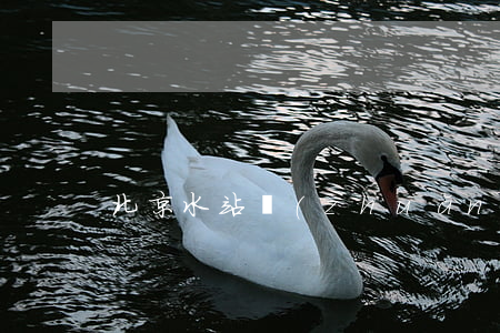 北京水站轉(zhuǎn)讓