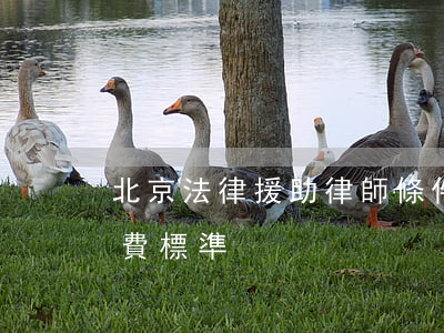 北京法律援助律師條件(北京法律援助中心收費標準)