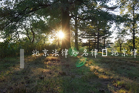 北京法律知名律師(北京律所知名律師)