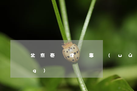 北京泰維律師事務(wù)所官網(wǎng)