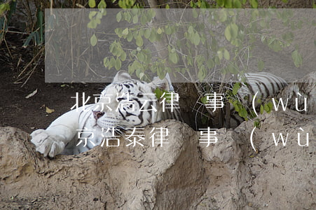 北京浩云律師事務(wù)所地址在哪兒(北京浩泰律師事務(wù)所)