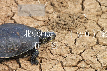 北京海淀債務(wù)案執(zhí)行律師在線咨詢