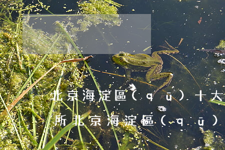 北京海淀區(qū)十大律師事務(wù)所(北京海淀區(qū)知名律師)