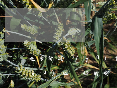 北京海淀區(qū)十大律師(北京海淀區(qū)比較好的律師)