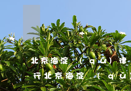 北京海淀區(qū)律師事務(wù)所排行(北京海淀區(qū)律師事務(wù)所排行)
