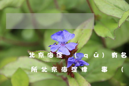 北京海淀區(qū)有名律師事務(wù)所(北京海淀律師事務(wù)所)