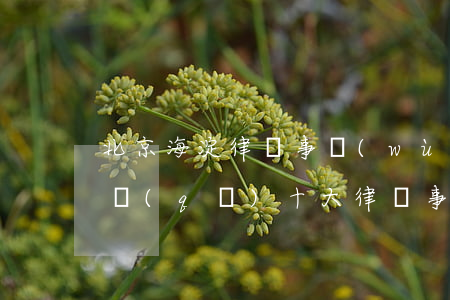 北京海淀律師事務(wù)所排行(北京海淀區(qū)十大律師事務(wù)所)