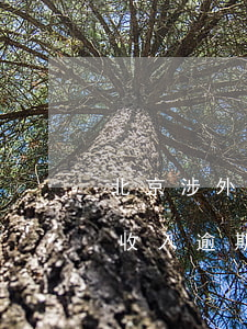 北京涉外收入逾期申報列入名單-北京涉外收入逾期申報列入名單怎么辦
