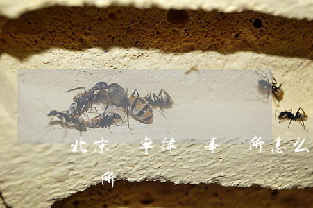 北京漢卓律師事務所怎么樣(北京卓海律師事務所)