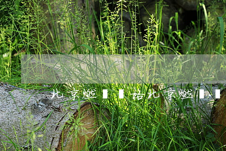 北京燃氣價格(北京燃氣價格多少錢立方米)