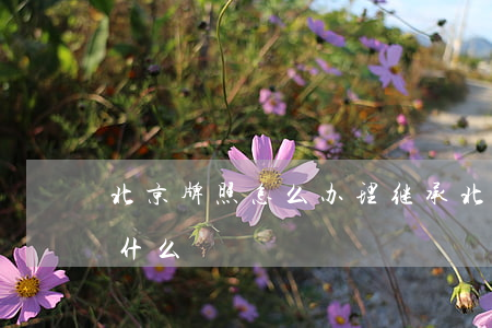 北京牌照怎么办理继承(北京继承车牌号需要什么)