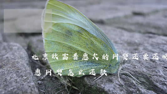 北京玖富普惠欠的网贷还要还吗(北京玖富普惠网贷怎么还款)