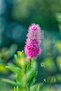 北京現(xiàn)代汽車貸款逾期(北京現(xiàn)代車貸款還清了怎么辦)