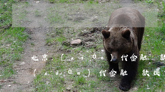 北京現(xiàn)代金融貸款逾期(北京現(xiàn)代金融貸款提前還款有違約金嗎)