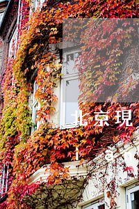 北京現(xiàn)代金融逾期(北京現(xiàn)代金融逾期車鑰匙被拿走要求結(jié)清找誰協(xié)商)