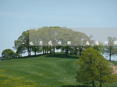 北京疫情期間高速封路了嗎