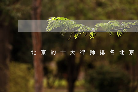 北京的十大律师排名(北京最好律师前十名)