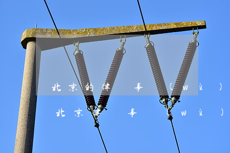 北京的律師事務(wù)所前10位有哪些(北京律師事務(wù)所排名前十名)