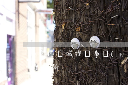 北京的東城律師事務(wù)所(北京市東城律師所)