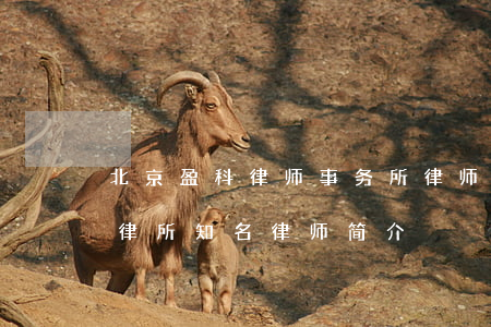 北京盈科律师事务所律师名单列表(北京盈科律所知名律师简介)
