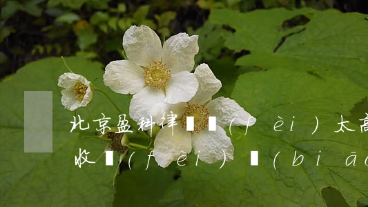北京盈科律師費(fèi)太高了(盈科律師收費(fèi)標(biāo)準(zhǔn))