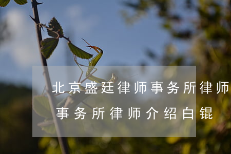 北京盛廷律师事务所律师介绍(北京盛廷律师事务所律师介绍白锟)