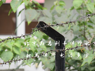北京知名刑事律师(北京知名刑事律师事务所驰为律所电话多少)