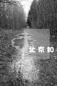 北京知名刑事律師機構(北京十大刑事律師所)