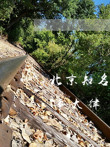 北京知名專業(yè)刑事律師(北京知名刑事大律師)