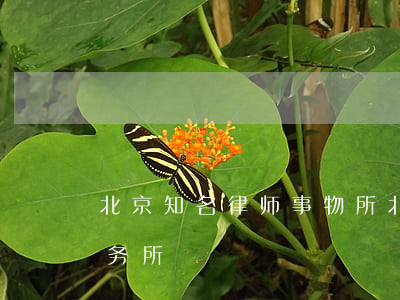 北京知名律师事物所(北京有名律师事务所事务所)