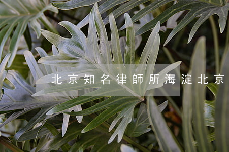 北京知名律師所海淀(北京律師事務所海淀)