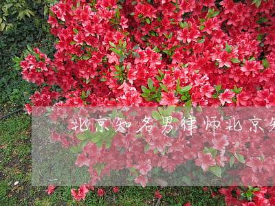 北京知名男律师(北京知名女律师)
