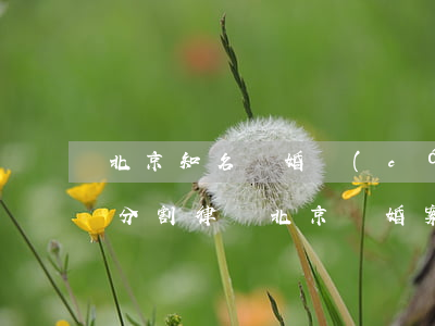 北京知名離婚財(cái)產(chǎn)分割律師(北京離婚案件著名的律師事務(wù)所)