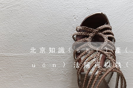 北京知識(shí)產(chǎn)權(quán)法院可以執(zhí)行嗎(知識(shí)產(chǎn)權(quán)專門法院)