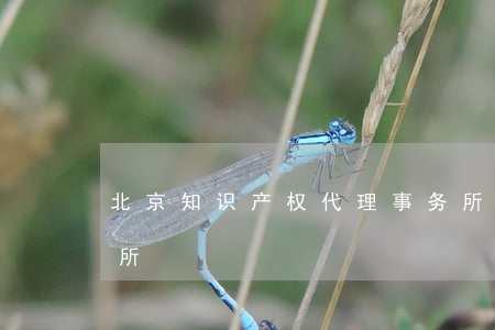 北京知识产权代理事务所(北京专利代理事务所)