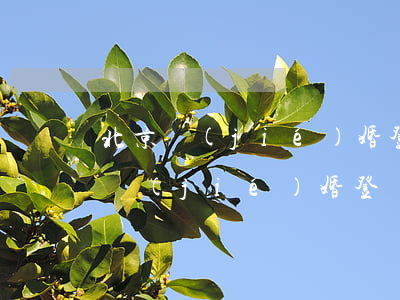 北京結(jié)婚登記預(yù)約(北京結(jié)婚登記預(yù)約)