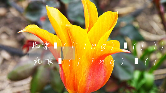 北京經(jīng)濟(jì)適用房申請(北京經(jīng)濟(jì)適用房申請)